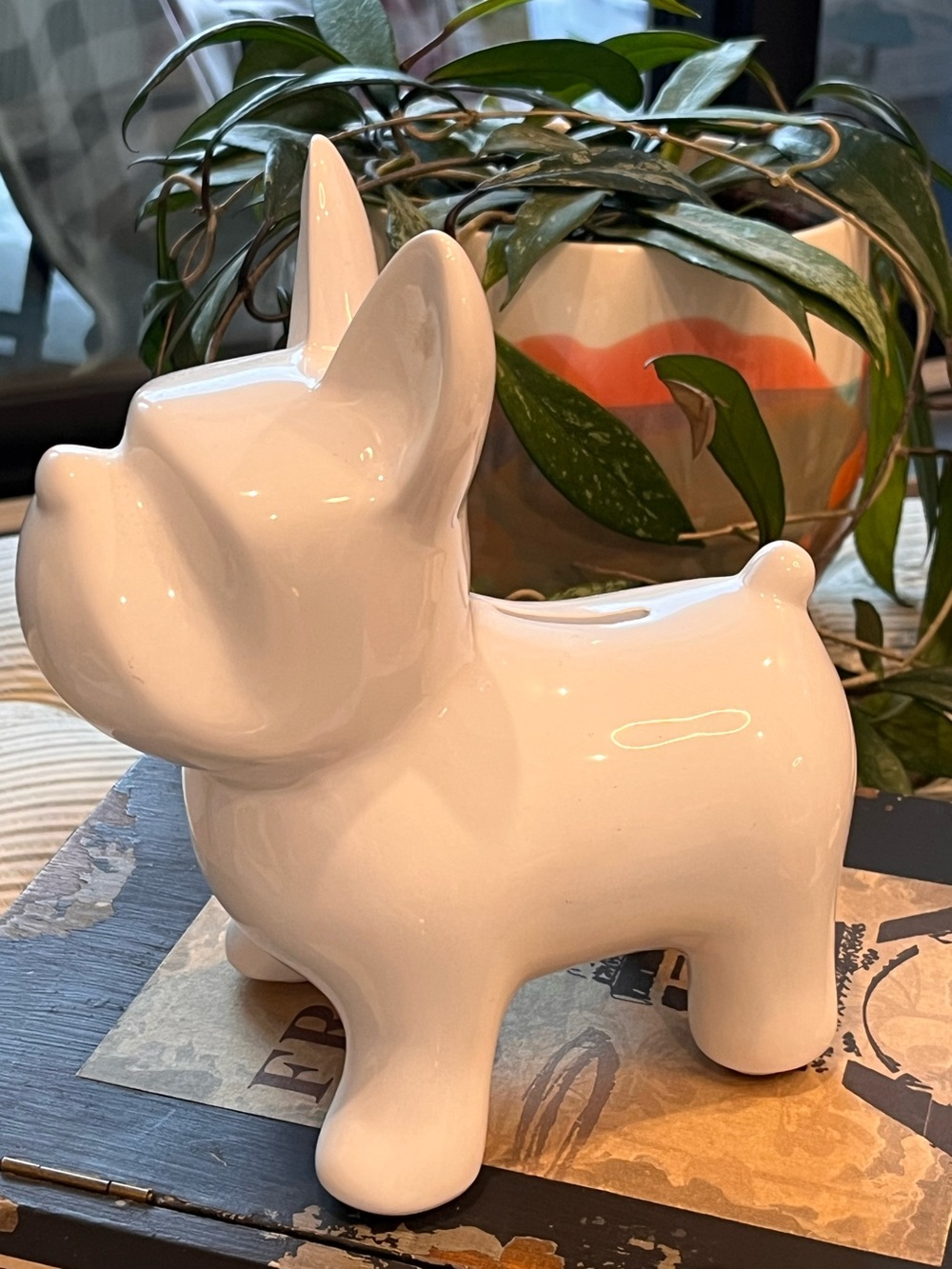 Dog Coin Bank White ceramic Frenchie dog